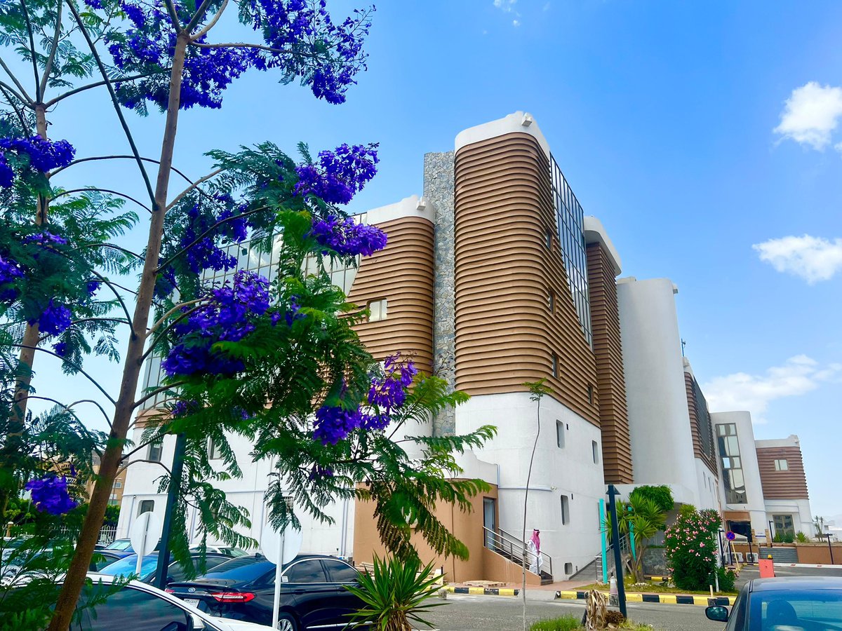 الصورة الذهنية لا تُصنع بالصدفة… بل تُبنى باتصال مؤسسي يُتقن الحضور ويُتقن التأثير
⬇️

1️⃣
إدارة الاتصال المؤسسي في غرفة أبها…
هي صوت الغرفة، وصورتها، ورسالتها.
تنسج العلاقات، وتضبط الإيقاع الإعلامي، وتُعرّف القطاع الخاص بفرصه وحقوقه وأدواره.

#غرفة_أبها #خدماتنا_أسهل