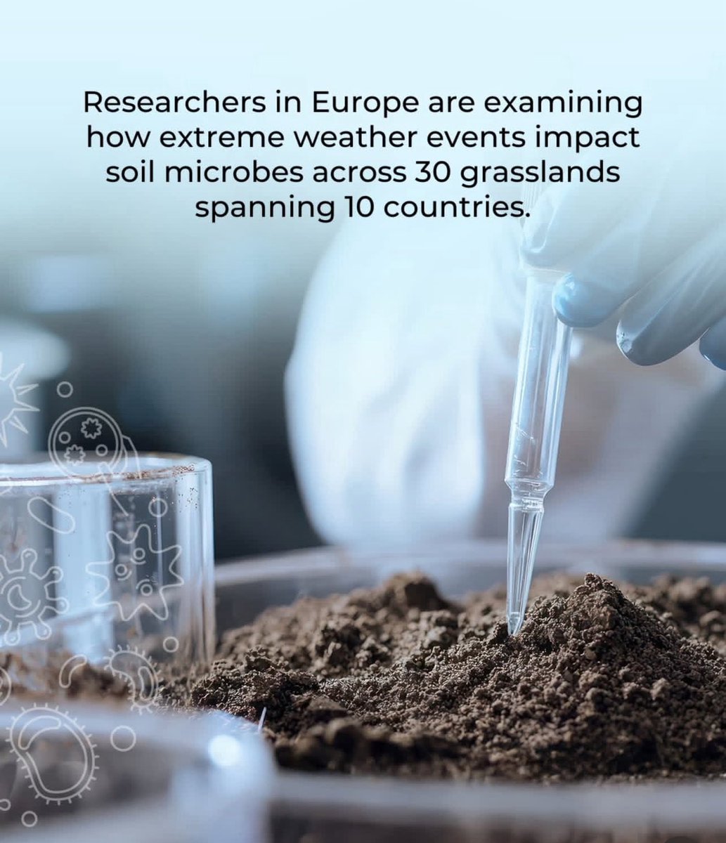 DaleenDynamic's tweet photo. Microbial life teaches us about climate change. #SaveSoil #SoilFirst #PolicyForSoil #SadhguruJV #cpsavesoil #ConsciousPlanet https://t.co/P51XxM9oJV