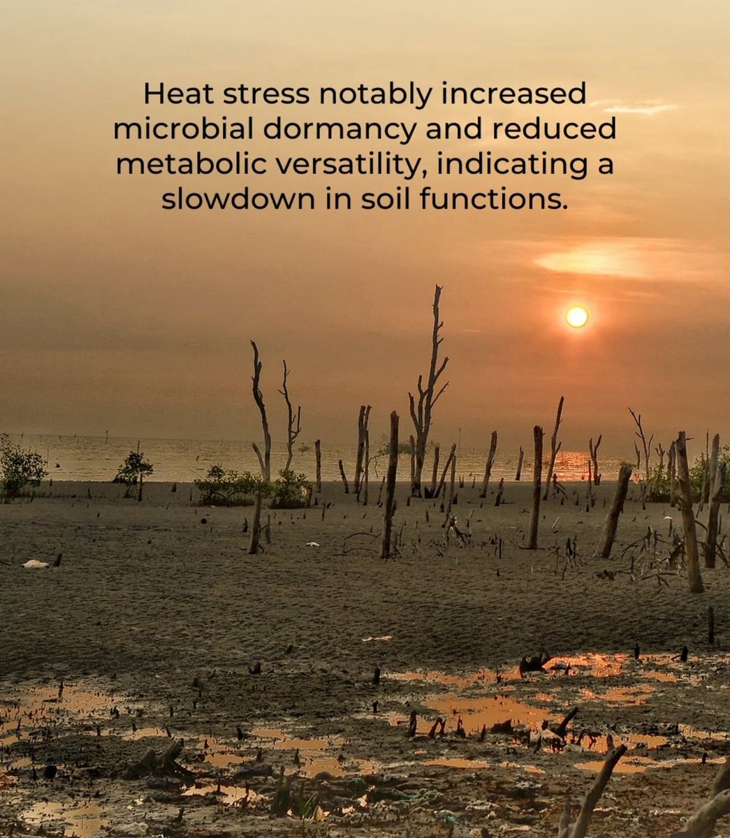 DaleenDynamic's tweet photo. Microbial life teaches us about climate change. #SaveSoil #SoilFirst #PolicyForSoil #SadhguruJV #cpsavesoil #ConsciousPlanet https://t.co/P51XxM9oJV
