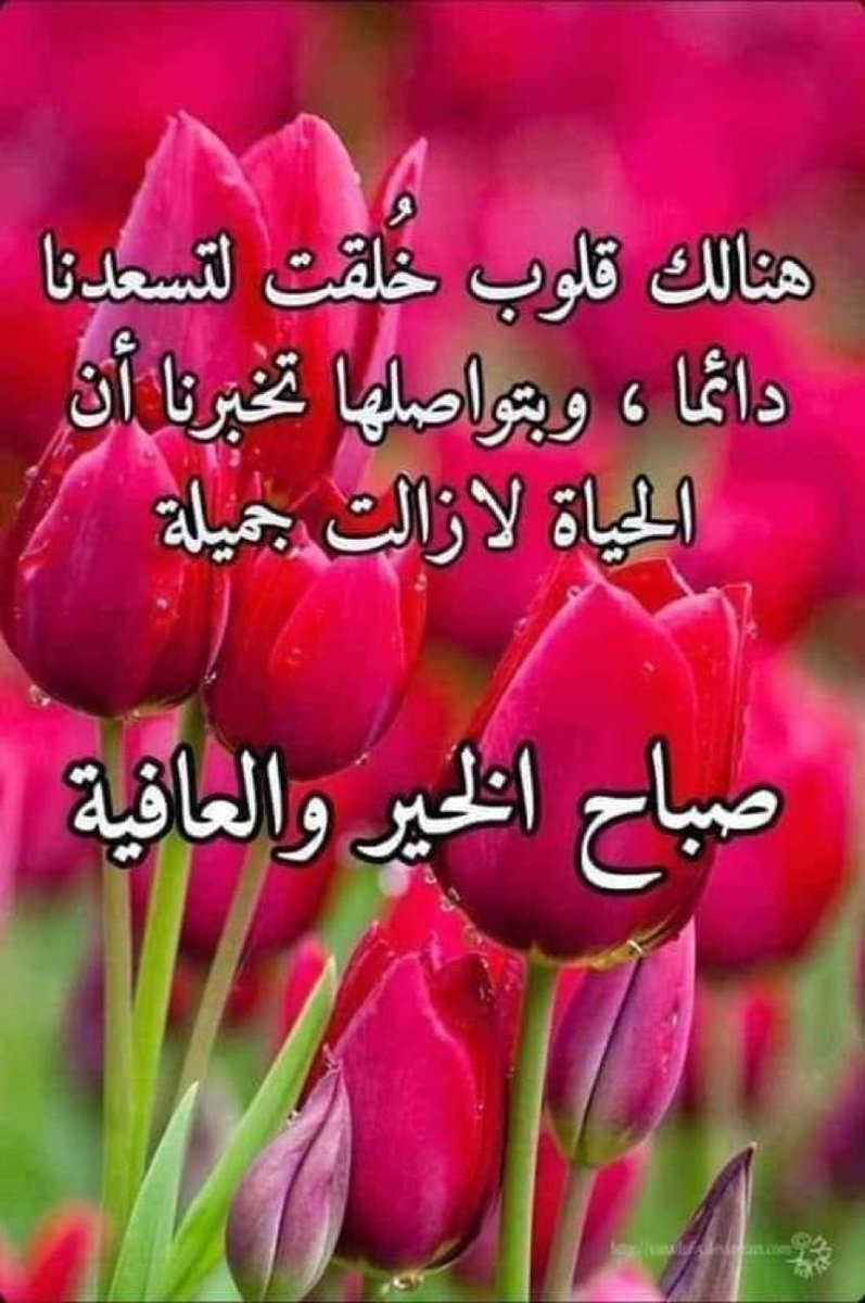 القلب من بين المخاليق يهواك 
 لاجل  الغلا  والحب انا جيت كلي 
  مافيه احد ف الكون والله يسواك 
  هذا  كلام   الصدق   ماهو  تسلي.