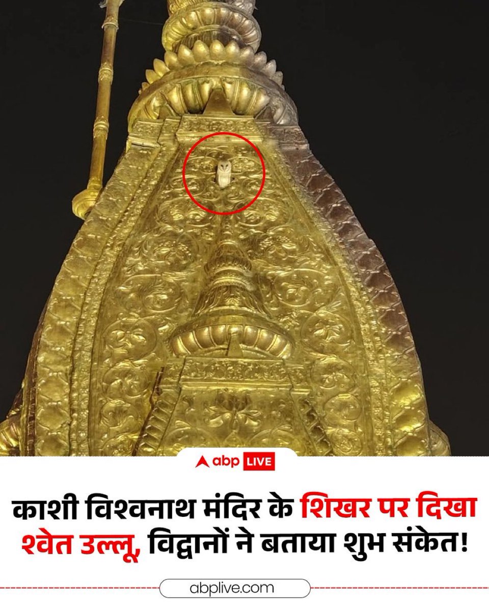 I remember the bad omen at Puri temple when an eagle took away the flag and everything went downhill for India after that.

Now finally, a good omen at Kashi Vishwanath temple, a sign of positivity. Hopefully, things take a better turn now..