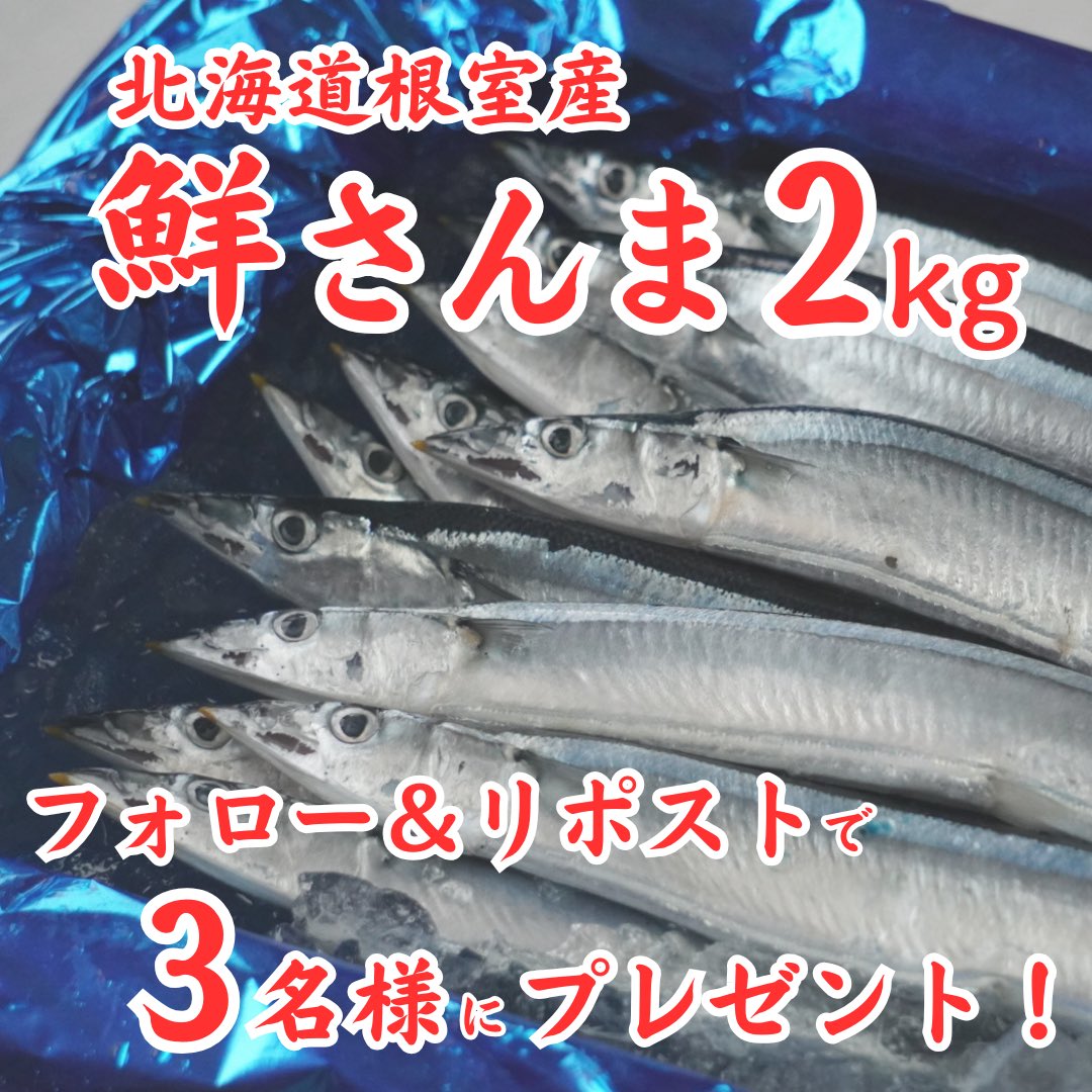 douen_hokkaido's tweet photo. #北海道グルメバリューどうえん の
#プレゼントキャンペーン

／
北海道根室産
『鮮さんま 2kg 14尾前後』が

抽選で3名様に当たる‼️
＼

【応募方法】
①@douen_hokkaido をフォロー
②この投稿を8/27 23:59までにリポスト

さんま水揚げ量日本一の北海道根室市から
産地直送でご自宅にお届けします✈️📦

中央卸売市場や卸業者、販売店を経由しないので、
スーパーで買うより鮮度抜群✨

美味しさ間違いなしです😋👍

※例年、水揚げ量が不安定なため、発送までお時間を頂戴する場合がございます。
※2kg 14尾を予定していますが、不漁により尾数が変更になる場合がございます。

#どうえん #懸賞 #秋刀魚 #サンマ