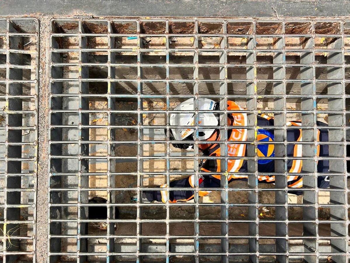 malavidaqro's tweet image. #ElMarqués | Rescatista de Protección Civil y del #INPA, rescataron a un gatito que se encontraba atrapado al interior de una alcantarilla en Los HéroesÁngeles. 🐱🚒⚠️

Información detallada ⬇️⬇️⬇️
facebook.com/share/p/1KYcvi…