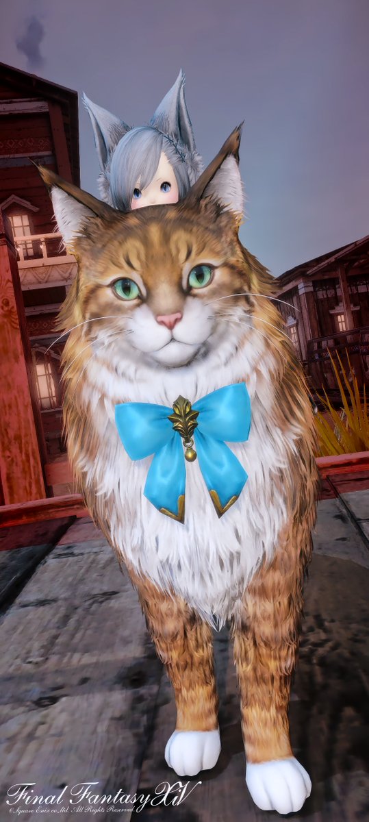 🐈