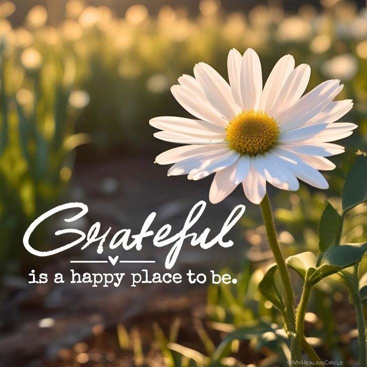 POSITIVITY (@positivitysaid) on Twitter photo 