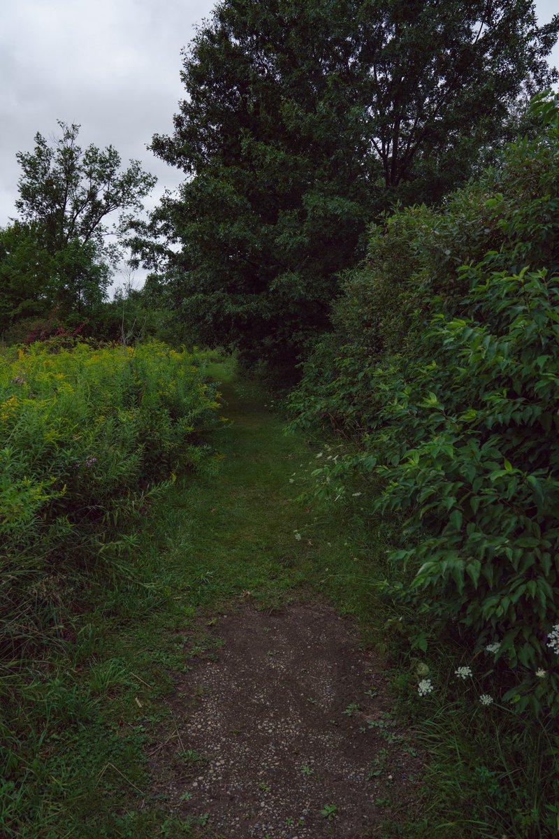 JesseCanady27's tweet image. 