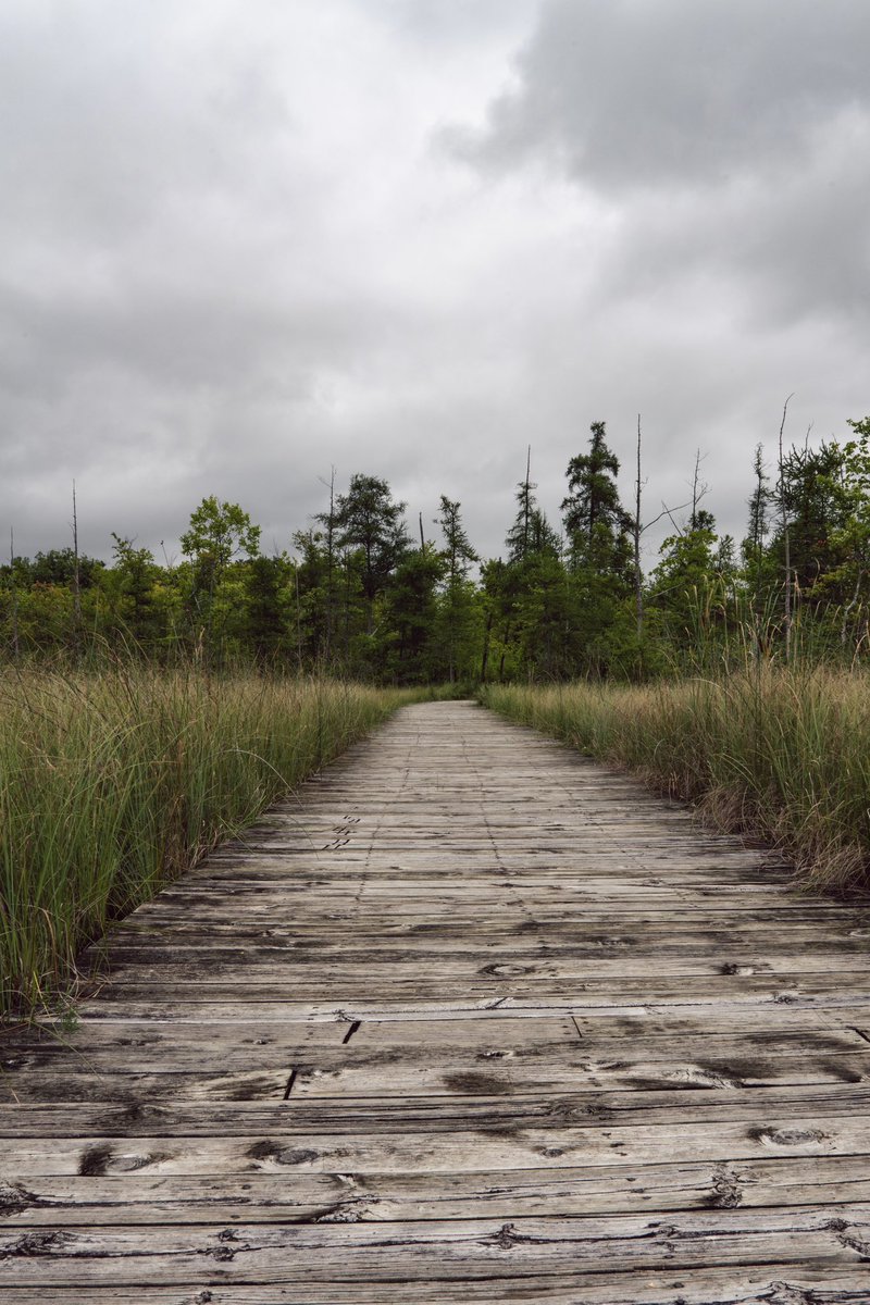 JesseCanady27's tweet image. 