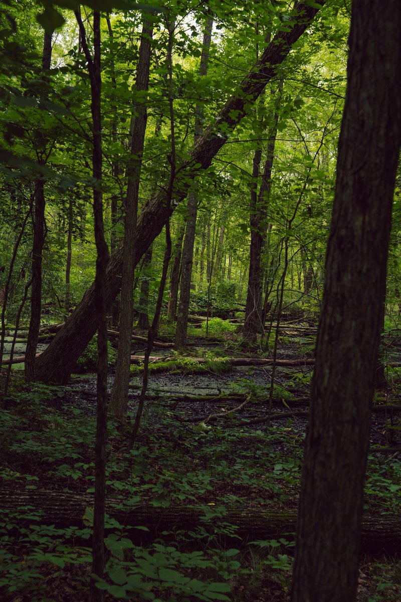 JesseCanady27's tweet image. 