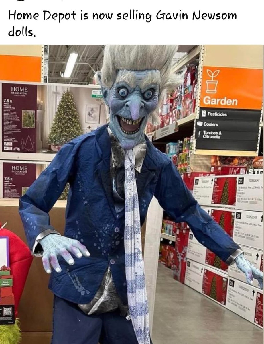 Greasy Gavin Newscum Halloween Dolls 🤣🤣🤣🤣🤣🤣