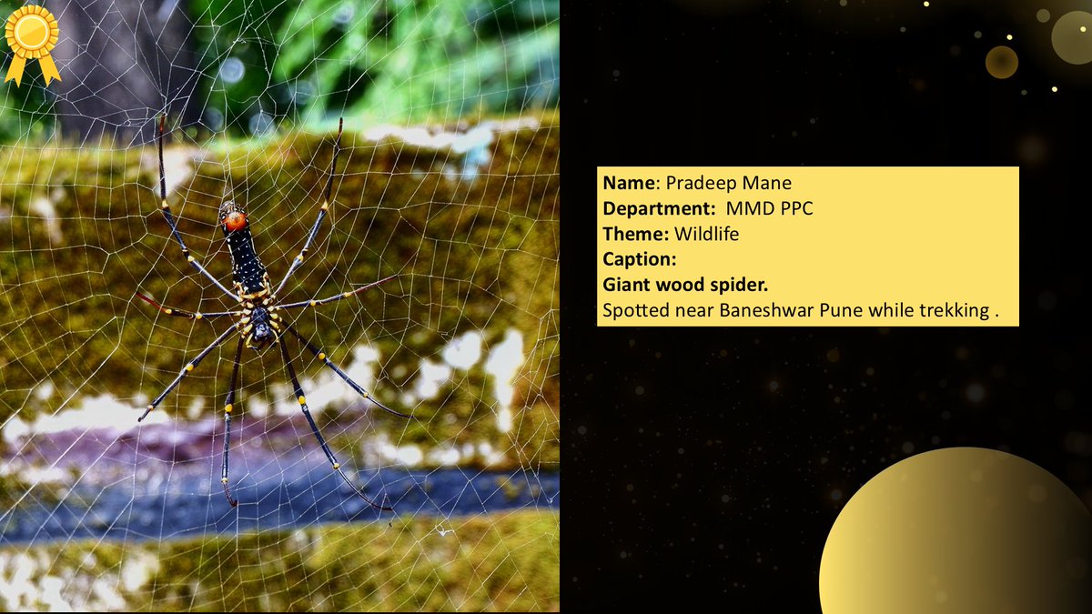 WeAreEPHL's tweet photo. 📸At #ElectroPneumatics, creativity shines in every frame!  On #WorldPhotographyDay, we held a photo contest with the themes Wildlife &amp; Food.
The top 2 photos from each theme were selected as winners. 🏆#Congratulations to our winners! 
Read in detail: https://t.co/eIMT01cIgT https://t.co/x0SqVXqOOX