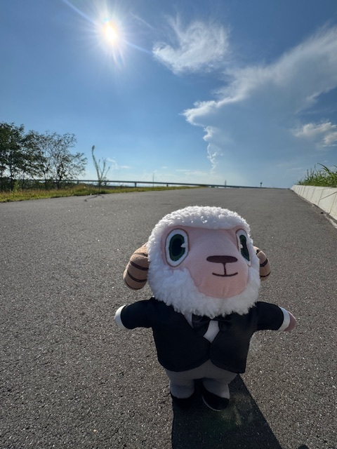 ひつじさん Amazon.co.jp: シュライヒ ファームワールド ヒツジ（オス） 13937