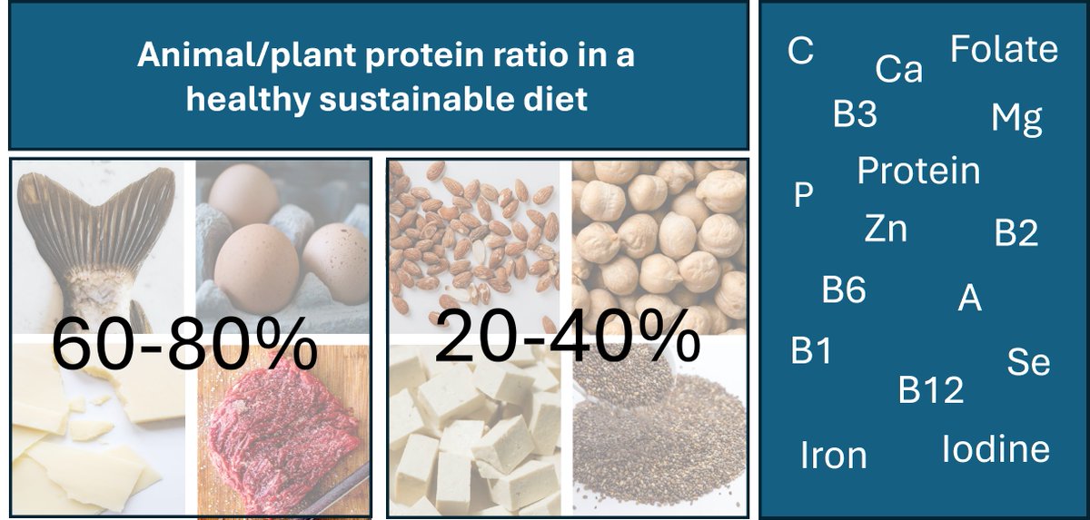 Excited to share the latest research published, "#Protein Source and #Micronutrient Adequacy in Australian Adult Diets with Higher #Diet Quality Score and Lower Environmental Impact." 🥩🌱
 Read the full open-access paper here: mdpi.com/2674-0311/4/3/…