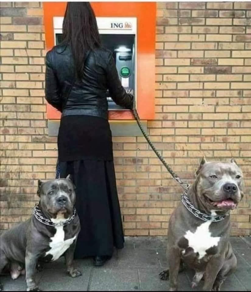 كنت رايحة قلها مرحبا بس شفتها مانها فاضية...🙂🤣 #صباح_الخيرᅠ