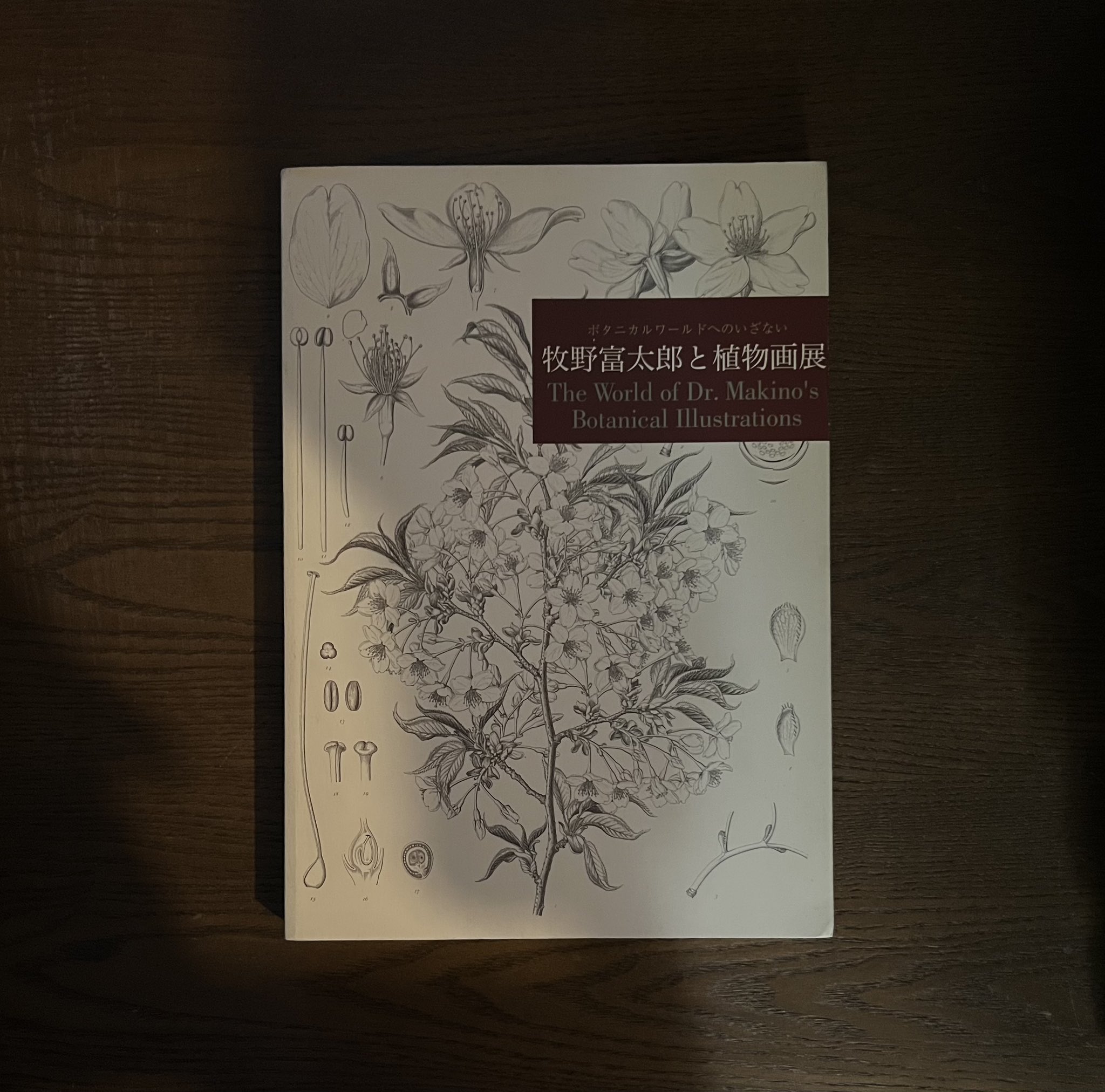 【中古】 牧野富太郎 古書かいた on X: 