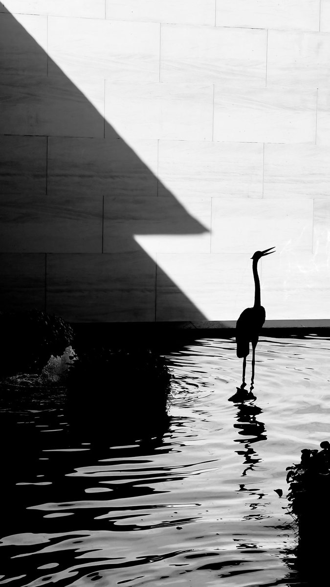 dedoth's tweet image. Snapshots kali ini✨