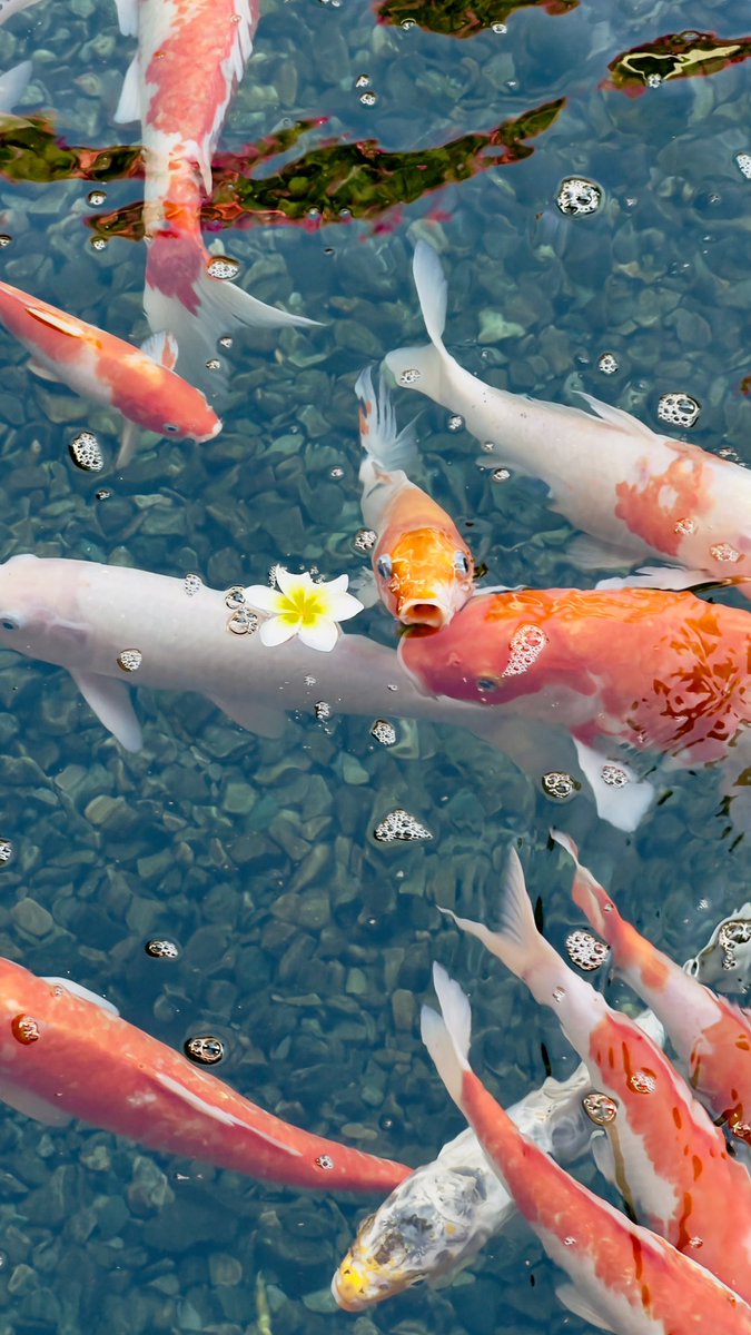 dedoth's tweet image. Snapshots kali ini✨