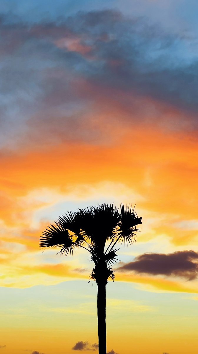 dedoth's tweet image. Snapshots kali ini✨