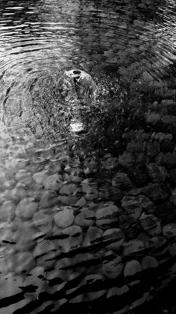 dedoth's tweet image. Snapshots kali ini✨