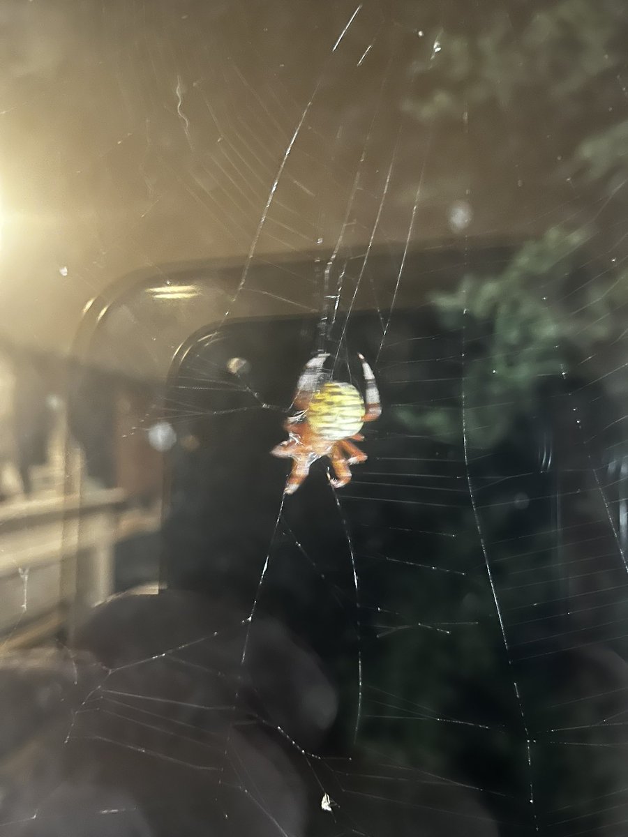 Hey little buddy. I’m gonna need you to not be at face height on my back door. Kthanksbye