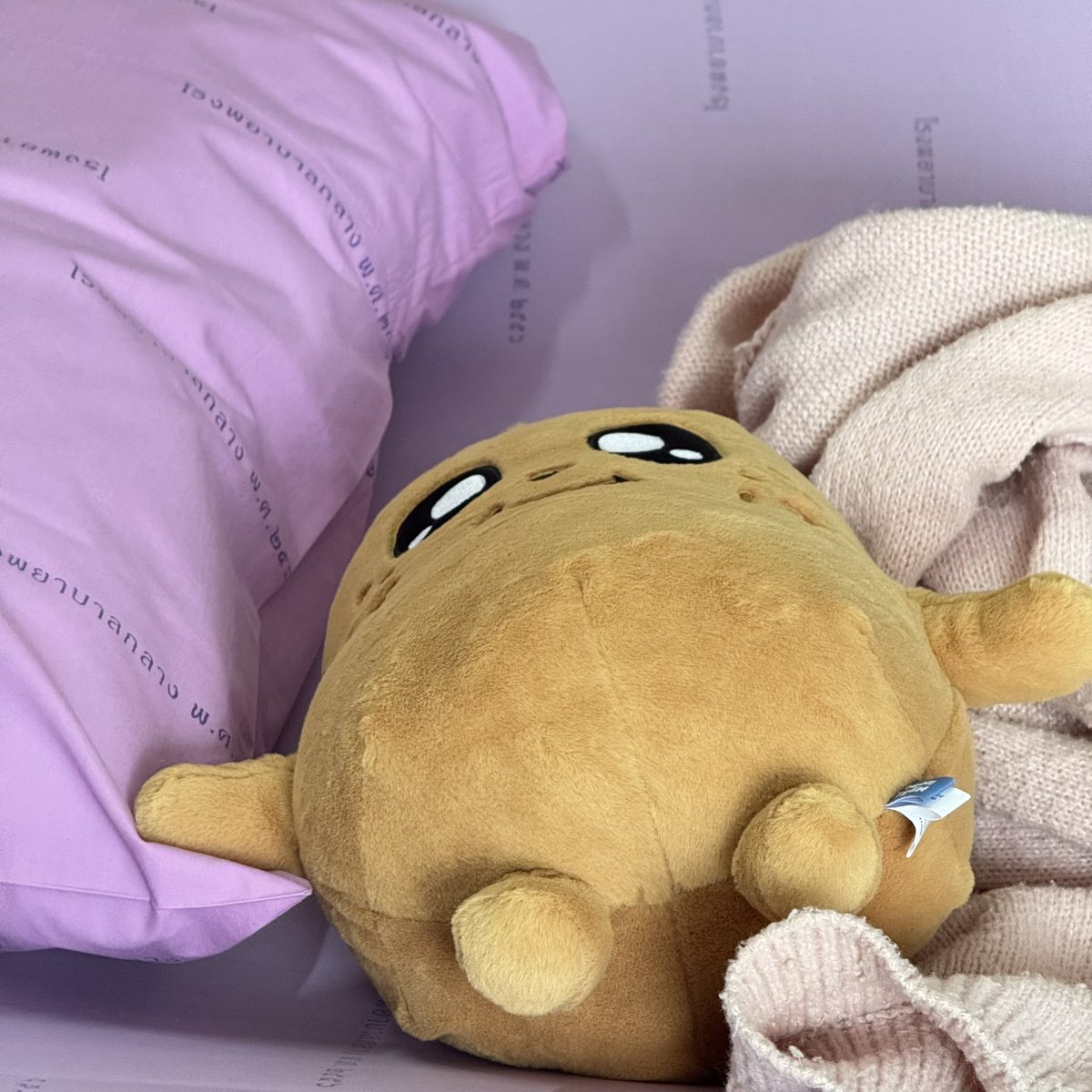 ปาป๊านอนเหยอออออ                 เค้าก้อนอนด้วยยย