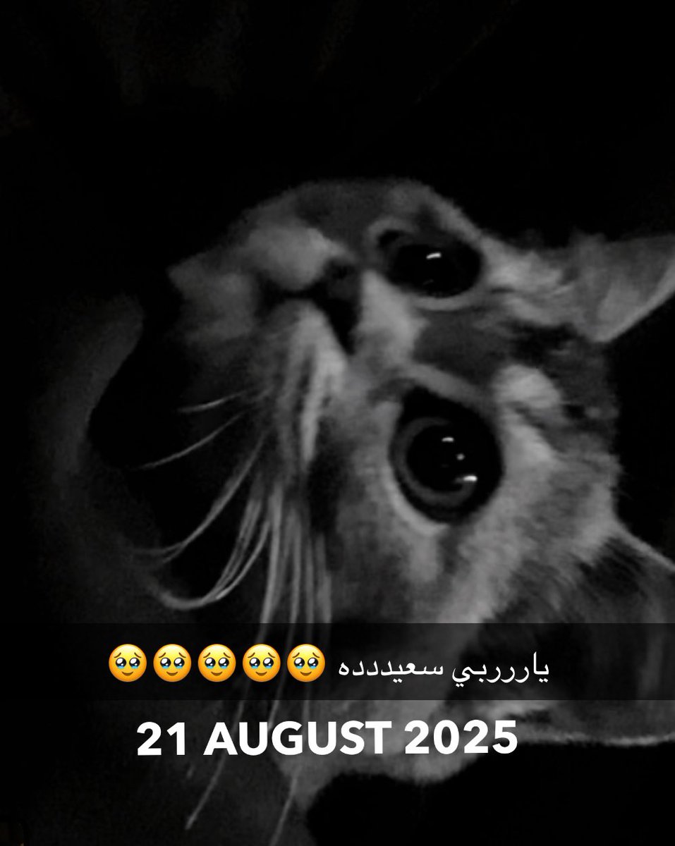 4eiir_'s tweet photo. فهاليوم ملكت كائن حي ّ 
يساوي الالف الأحبة 
يساوي الدنيا برمتها 
وهذي غنيمتي 
وأثمنُ مكاسبي .. 
🤍🤍🤍🤍 https://t.co/AhUTP8Dpvn