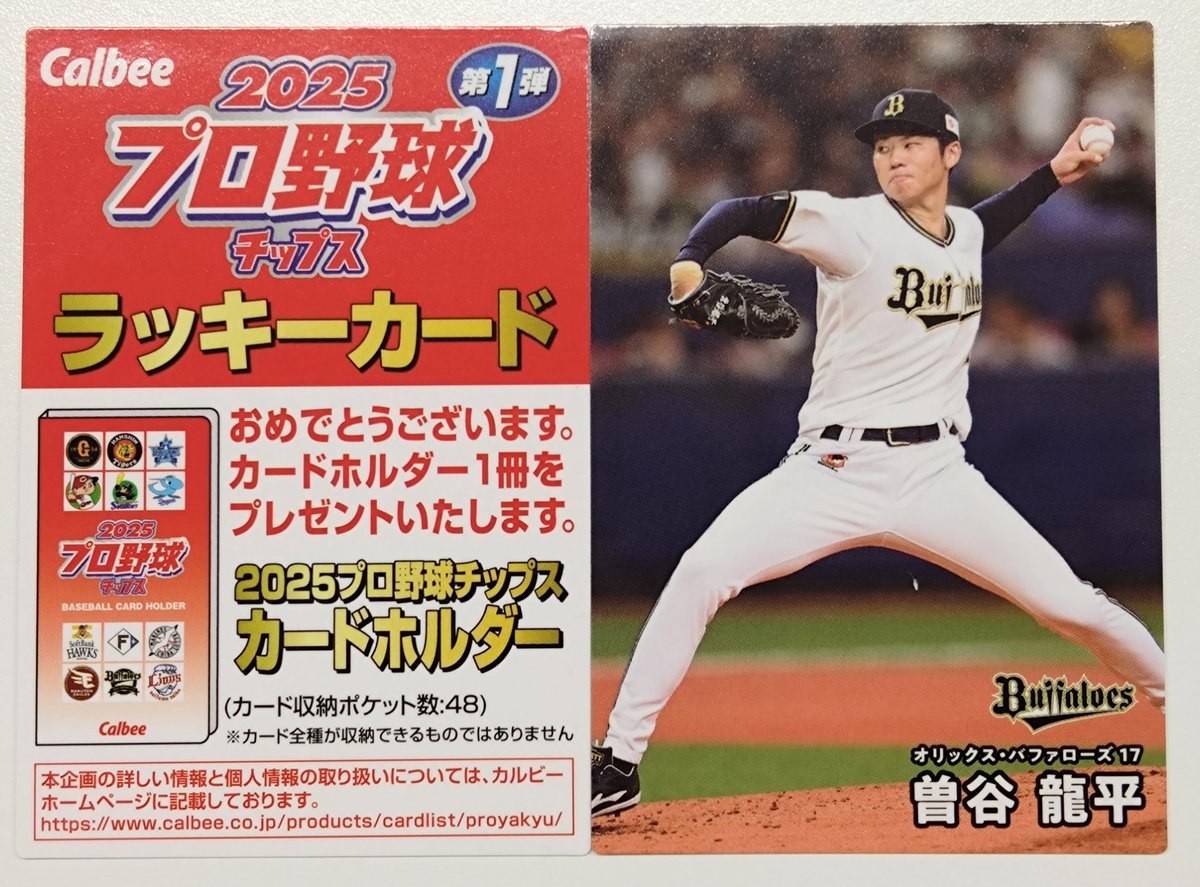 プロ野球チップス カード 上原、建山