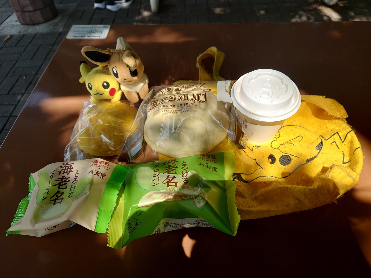 洞爺湖サミットピカチュウ ぬいぐるみ さんさ踊りごっこピカチュウ ポケモンセンター