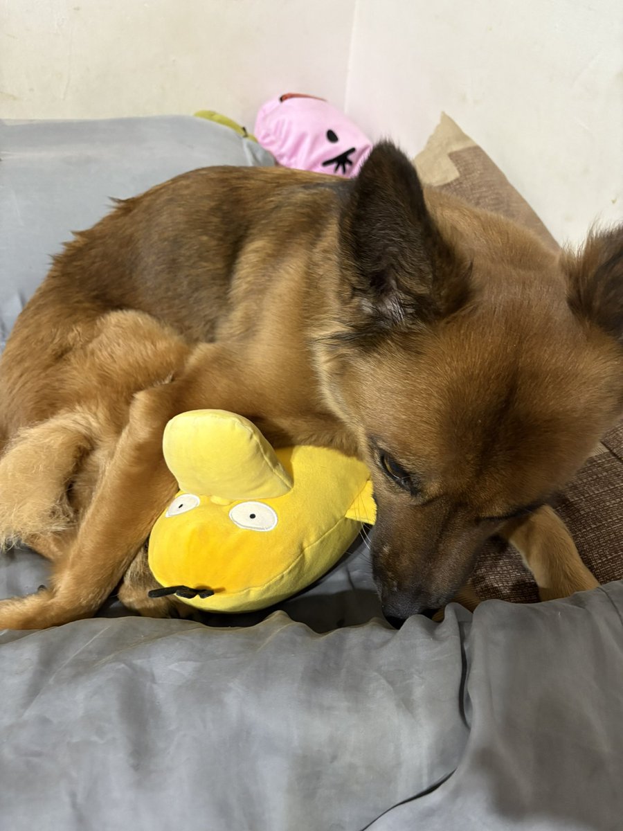 easonxiao (@easonxiao1) on Twitter photo 