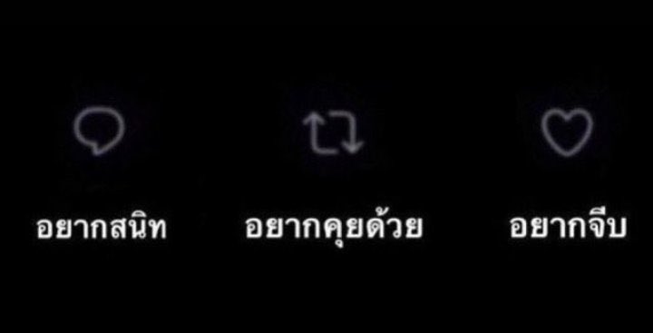 Python_TYU's tweet photo. โสดรักเด็กรักหมา https://t.co/cvCyl3u675