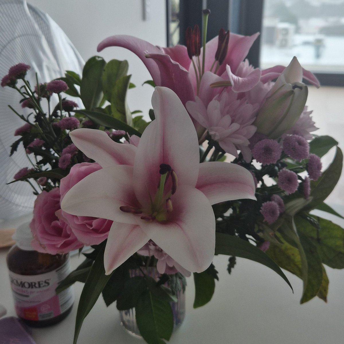 lowkcal4chae's tweet photo. The lilies are blooming https://t.co/SCXKZPQxZu