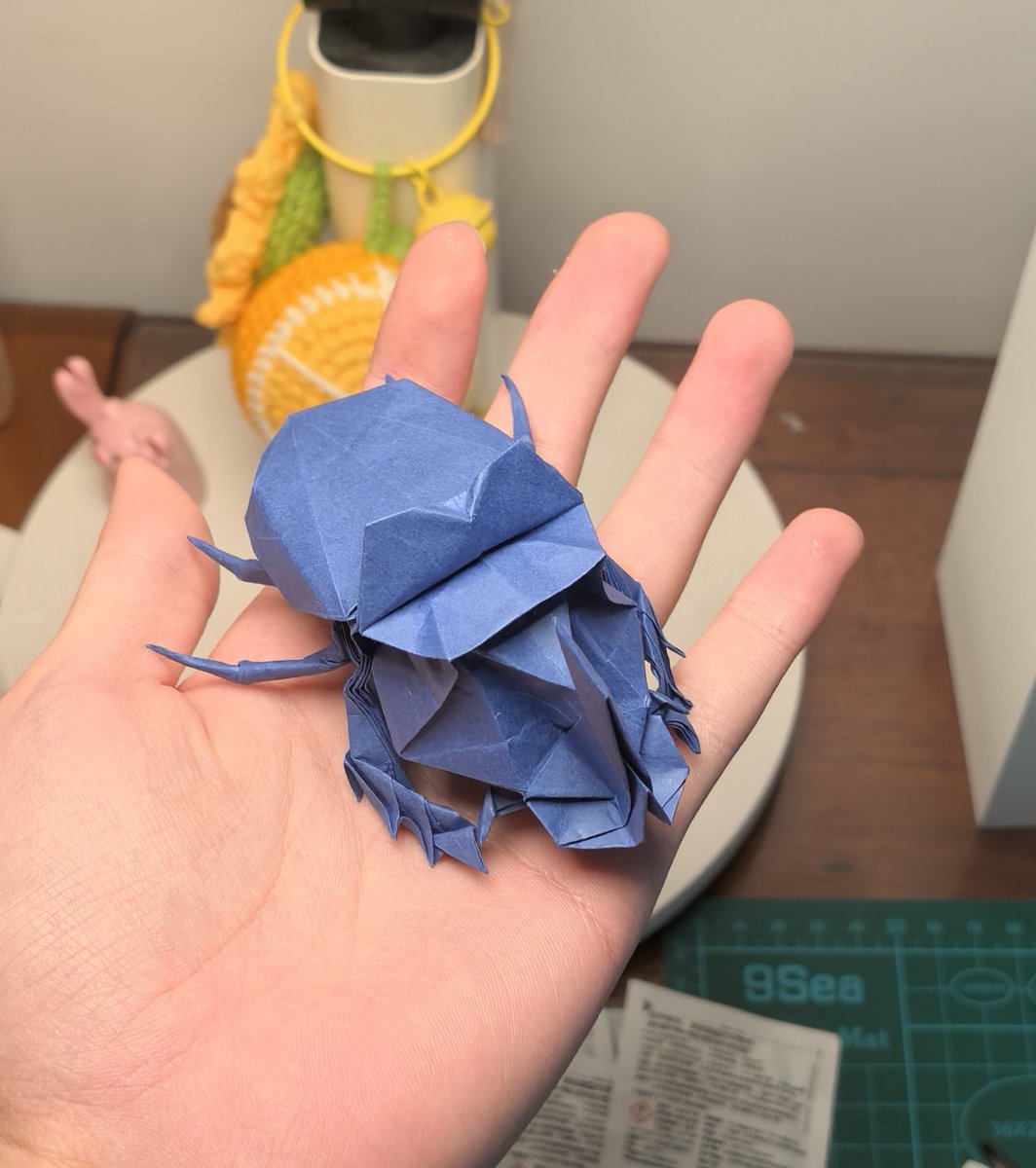 dung beetle
designed by me
22.5degree design