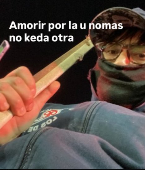 Little_Menta's tweet photo. @BenjaTrsL El nene : https://t.co/xp8AA7A6p7