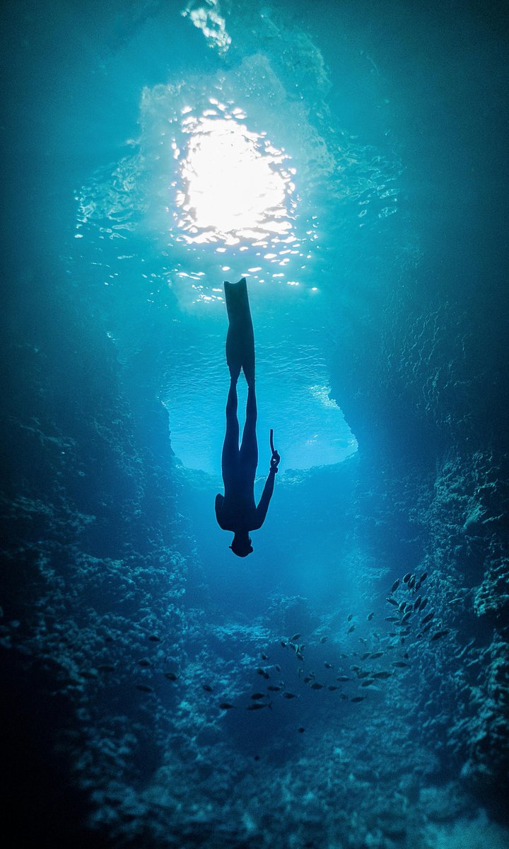 Hey freedivers, what part of your freediving progression are you currently working on — breath-hold, depth, relaxation, or something else?

📷: Emma Li

#wearessi #freediving