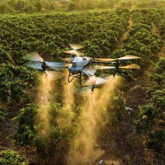 Our drone technology made farm easy.
✅ Save time
✅ Reduce costs
✅ Boost yields.