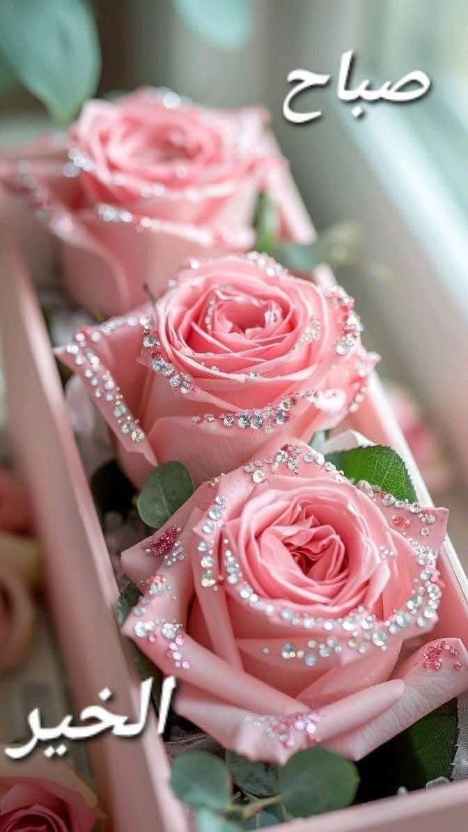 #صباح_الخير 

فليشرق صباحنا حمدًا بأن لنا ربا ًإذا أغلقت الأبواب لا يُغلق بابه و إذا انقطعت الأسباب جاء مداده 
و إذا ضاقت الأنفس انهمرت بركاته 

صباح يملأ الكون حمدًا و رضا