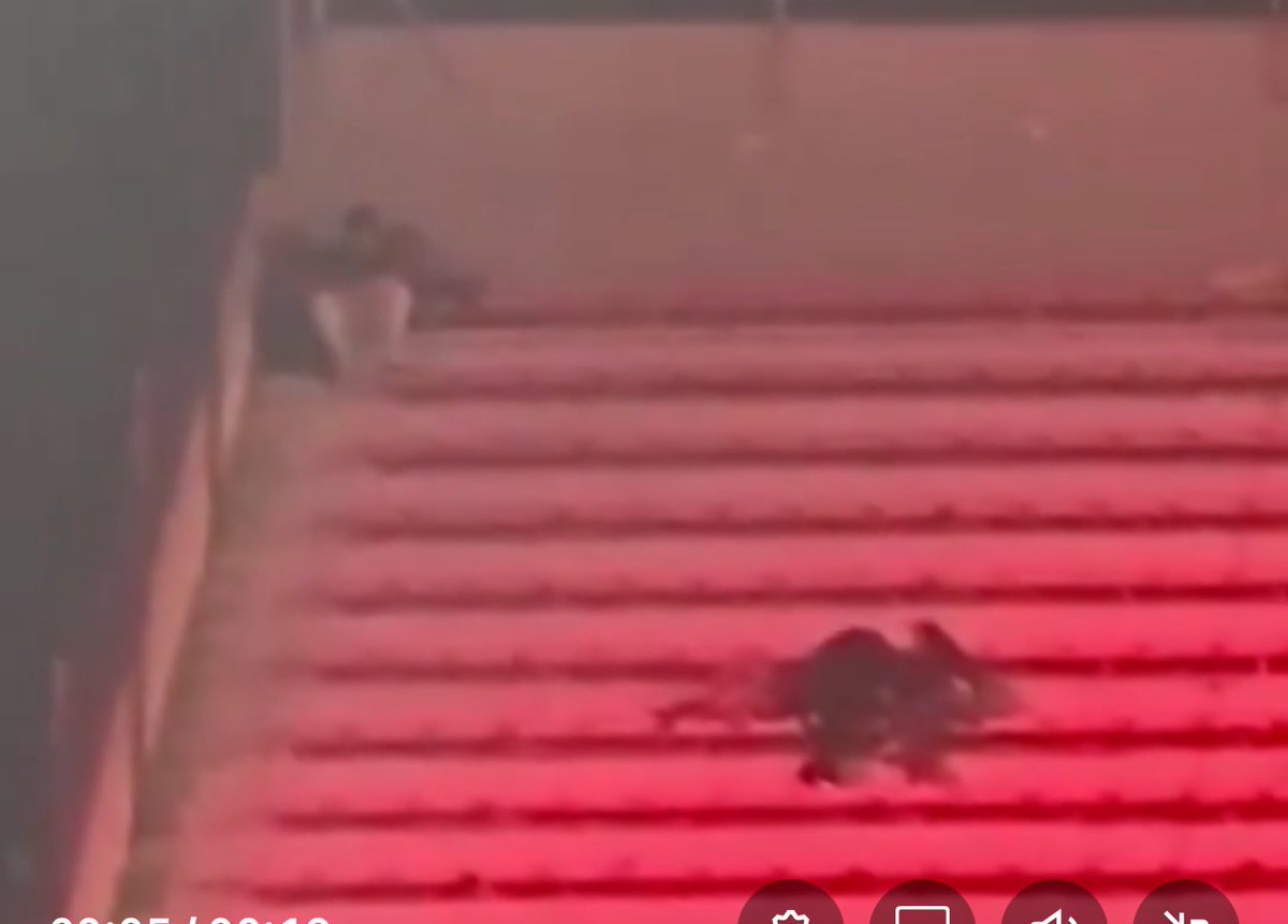 Nos merecemos 40 años en el desierto.