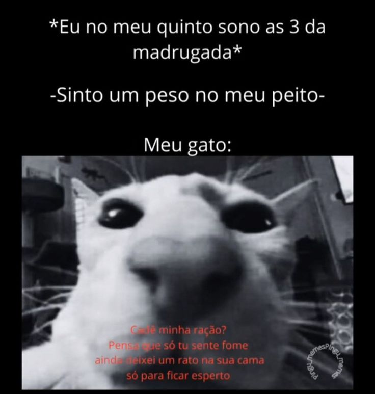 Terror do Cotidiano (@terrorcotidiano) on Twitter photo 