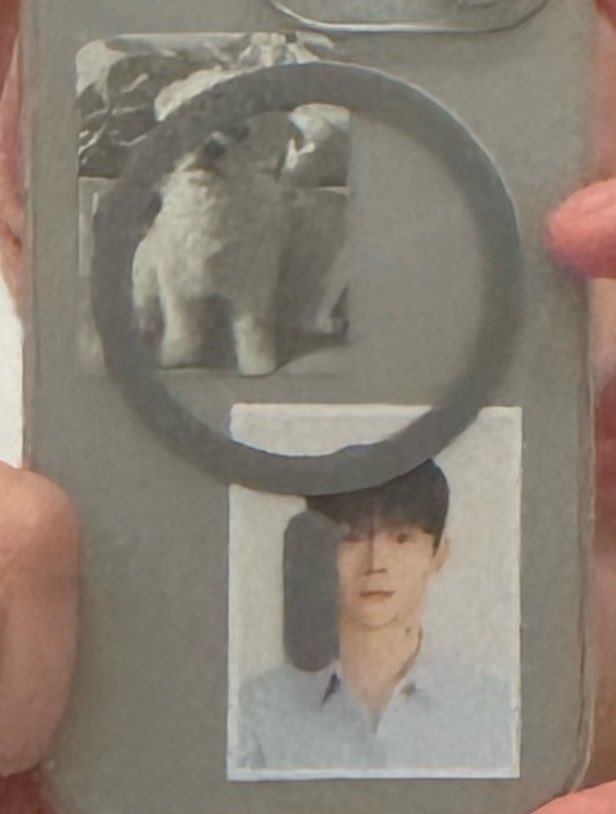 이사진가지고잇은신예찬:너무부러워