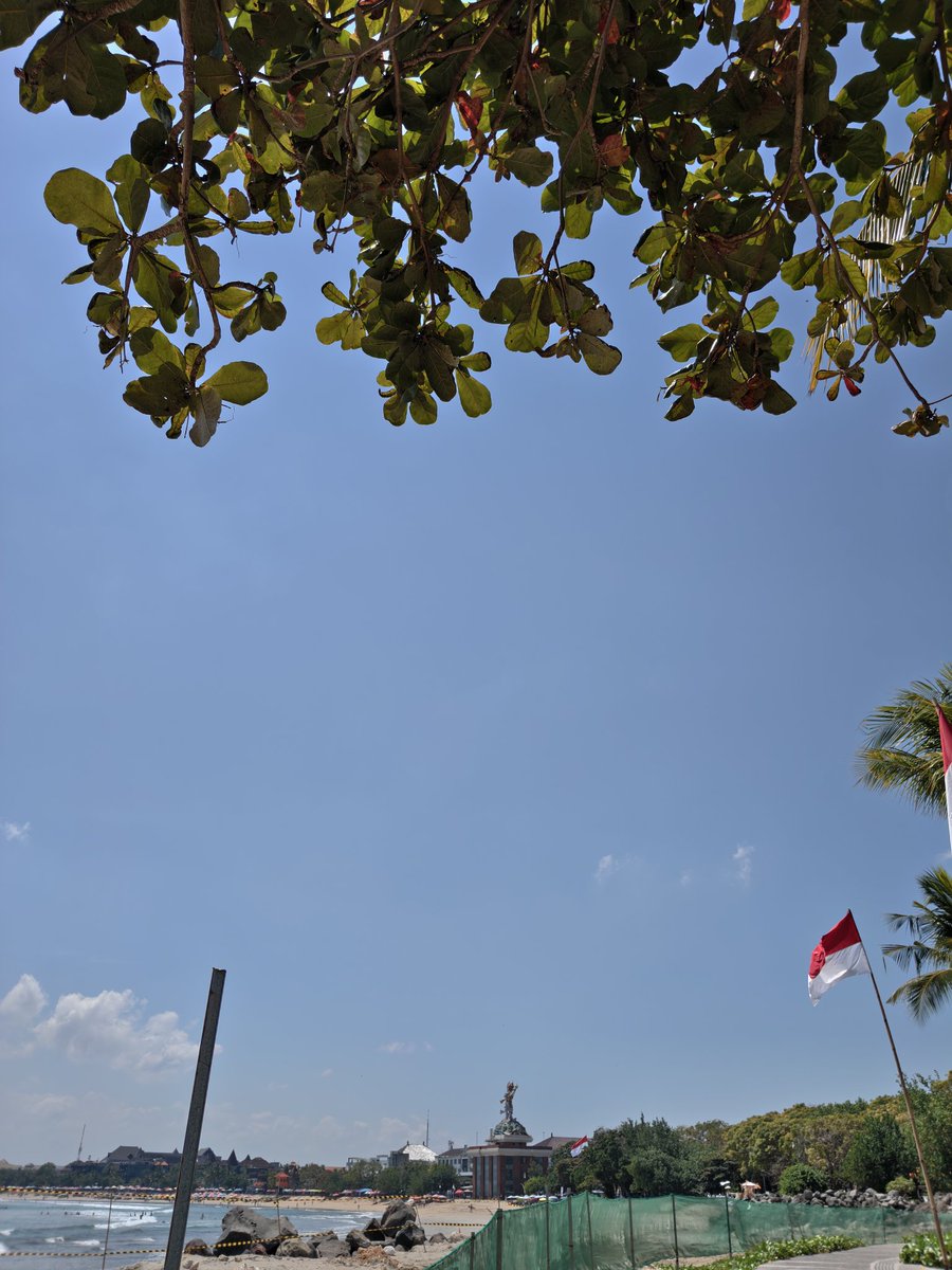 Fixesbug404's tweet image. 