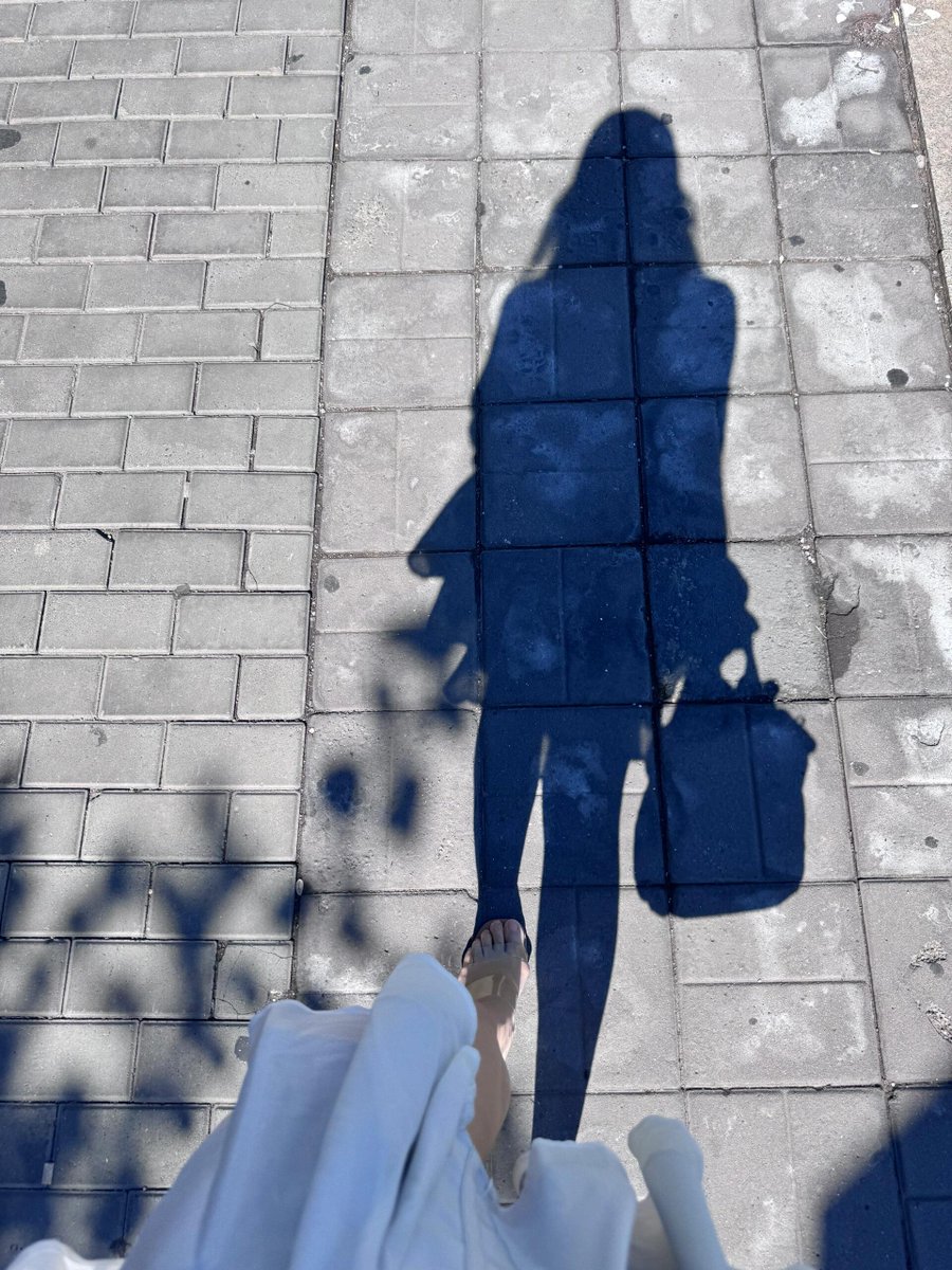 こんな暑い日、外にいることは無理、家にいるのが一番。🍃🏠