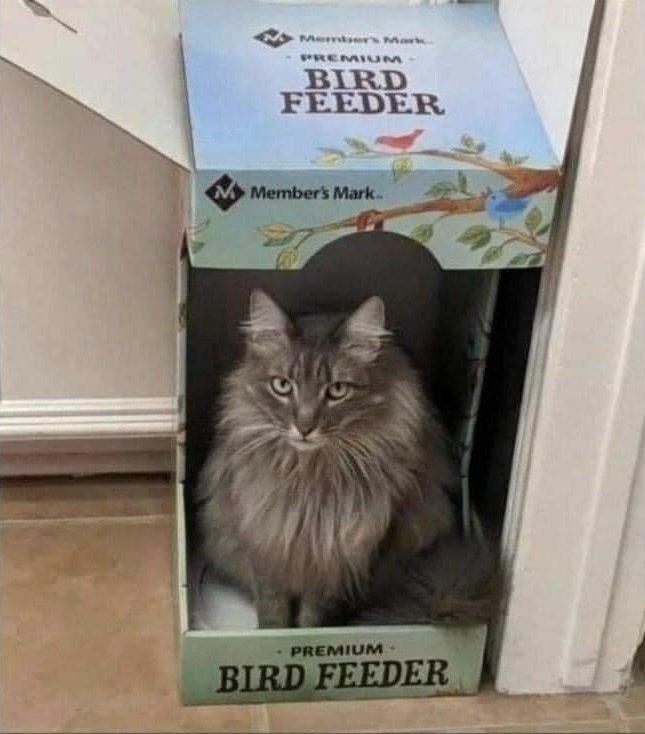 Bird feeder manufacturer Member's Mark have issued an urgent recall on one of their products, after a production line mistake led to a 'possible health risk' to their avian customers.
A spokesman for the company said 'it's the one thing we didn't want to happen.'