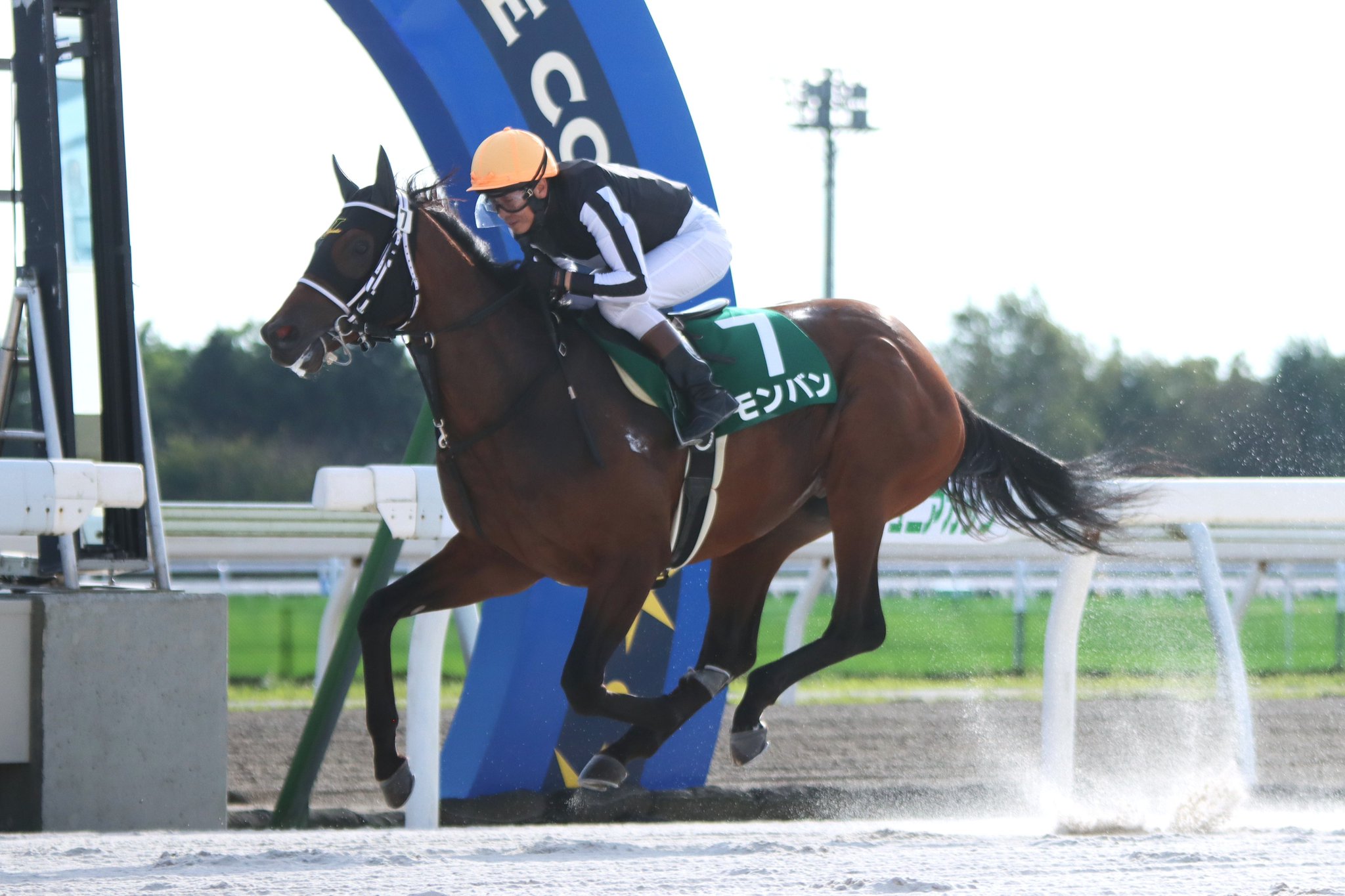 藤田西洋　馬と馬車の風景 センジェルメン ドゥ プレ教会 藤田西洋 馬と馬車の風景 センジェルメン ドゥ プレ教会 - メルカリ