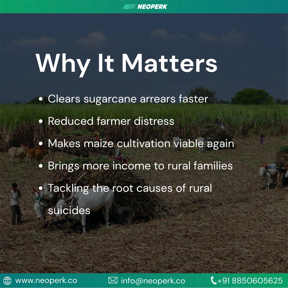 Neoperk Technologies Private Limited tweet media