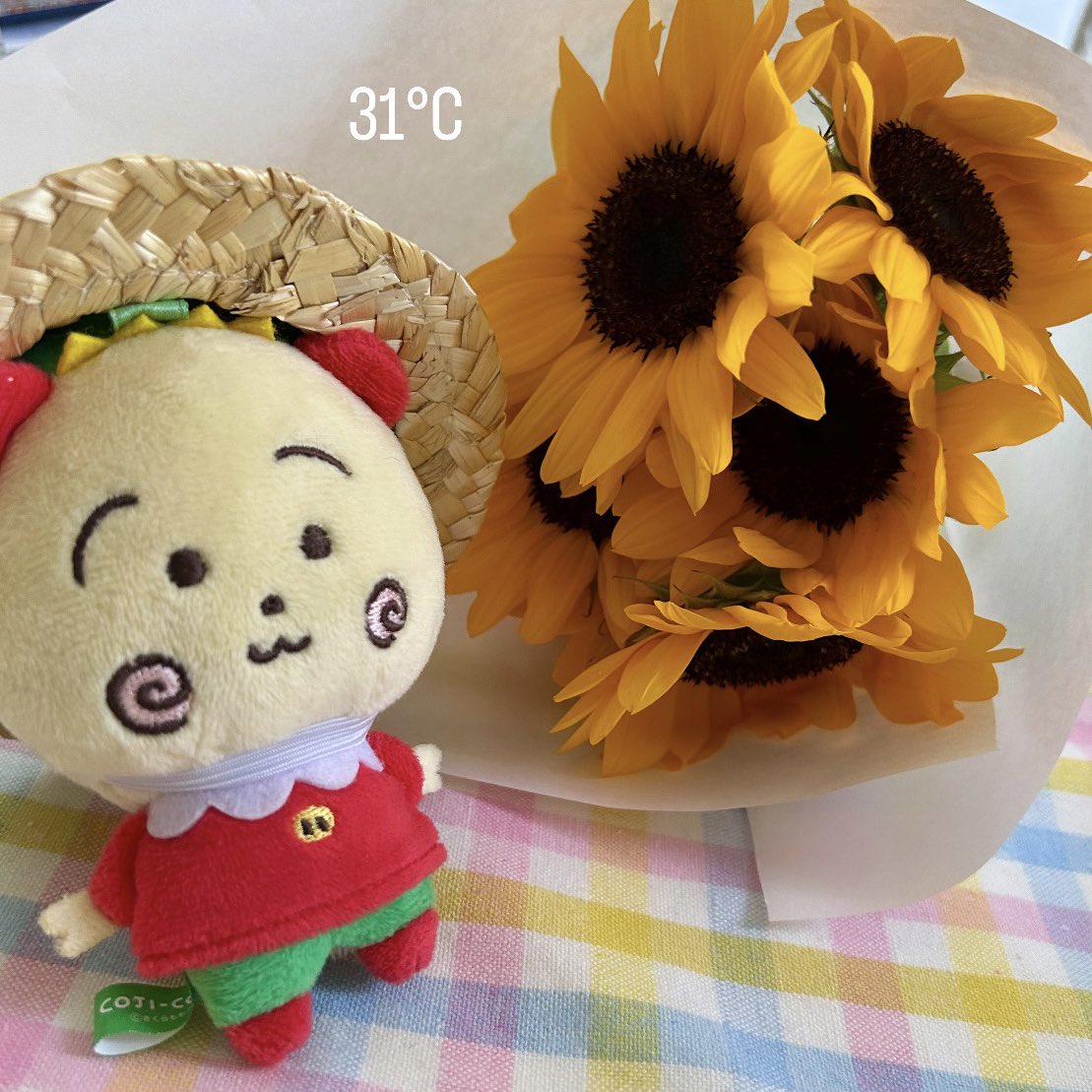 母校が甲子園決勝へ꒰(๑´•.̫•`๑)꒱ﾔｯﾀｰ!ﾔｯﾀｰ!

#コジコジ
#沖縄尚学
#チバリヨ〜