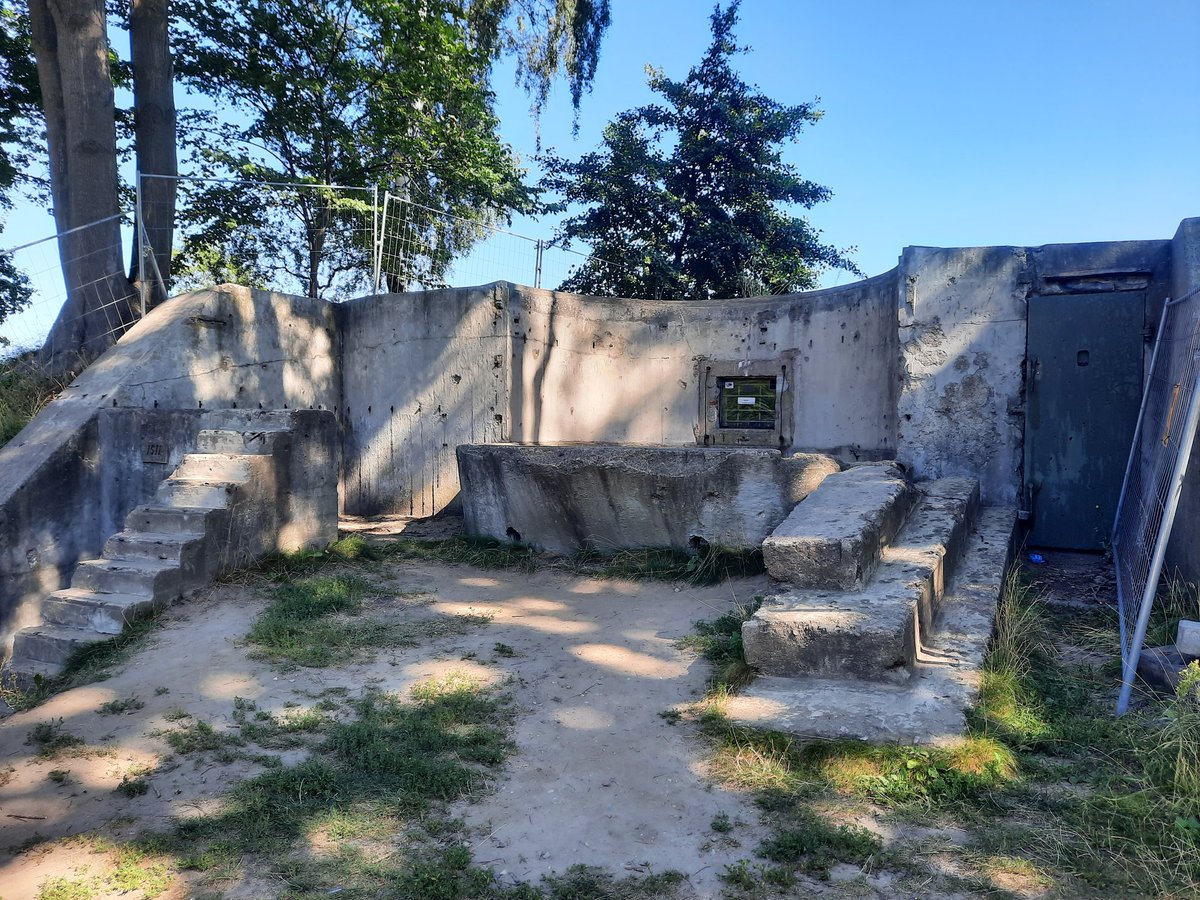 Alan Wakefield tweet media