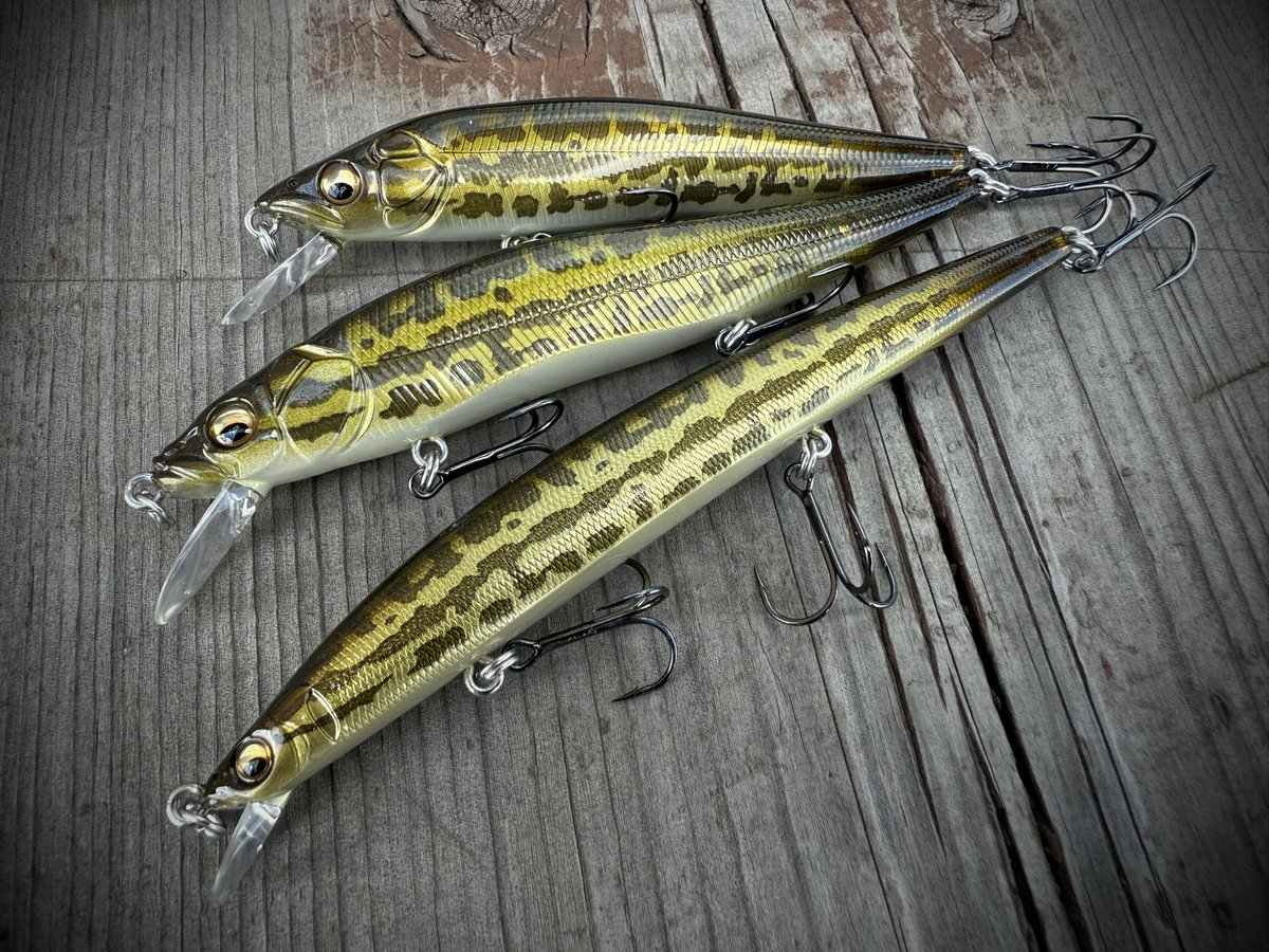 GH110 北海道 カラー メガバス グレートハンティング110 ドジョウ