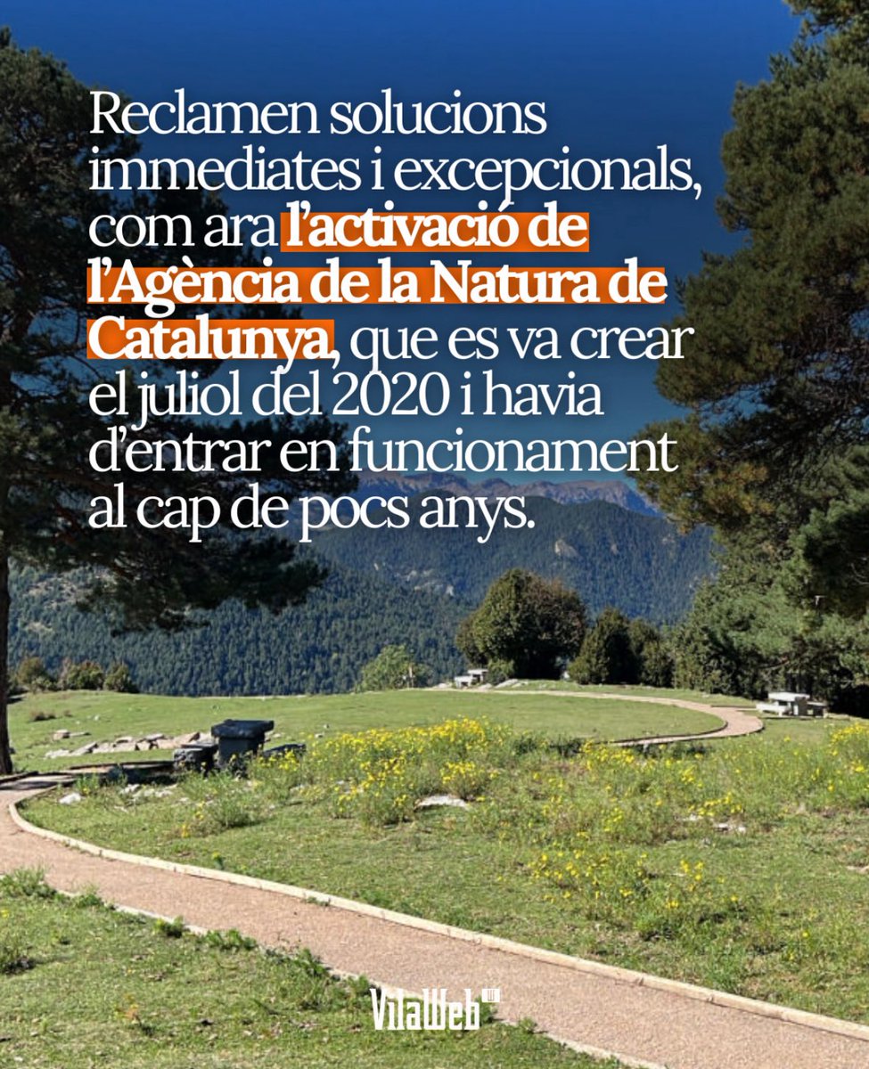 Alex Mascarell tweet media