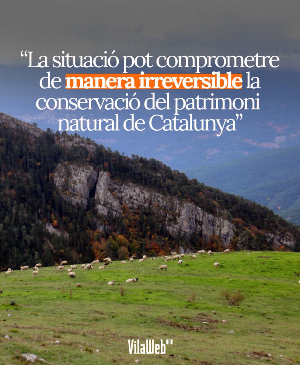 Alex Mascarell tweet media