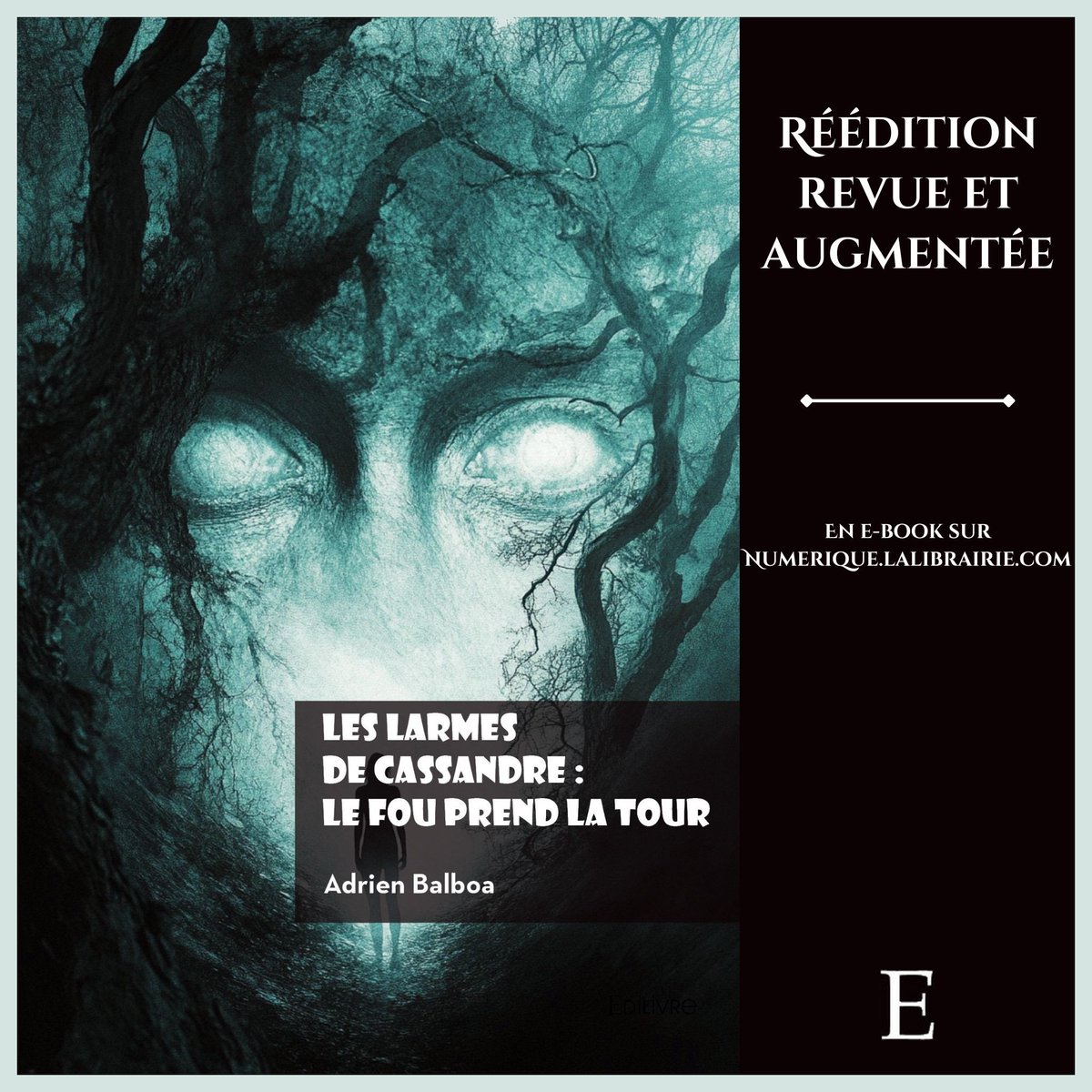 AdrienBalboa's tweet photo. 🤠 📘 📲

https://t.co/gjiZV4gD2X 

[@Lalibrairie_com - @ed_Edilivre - #Saga - #SagaLLDC - #LLDC2 - #LesLarmesDeCassandre2 - #Auteur - #Author - #Écrivain - #Writer - #Livre - #Book - #Roman - #Novel - #EBook] https://t.co/t1tYY8g3j2