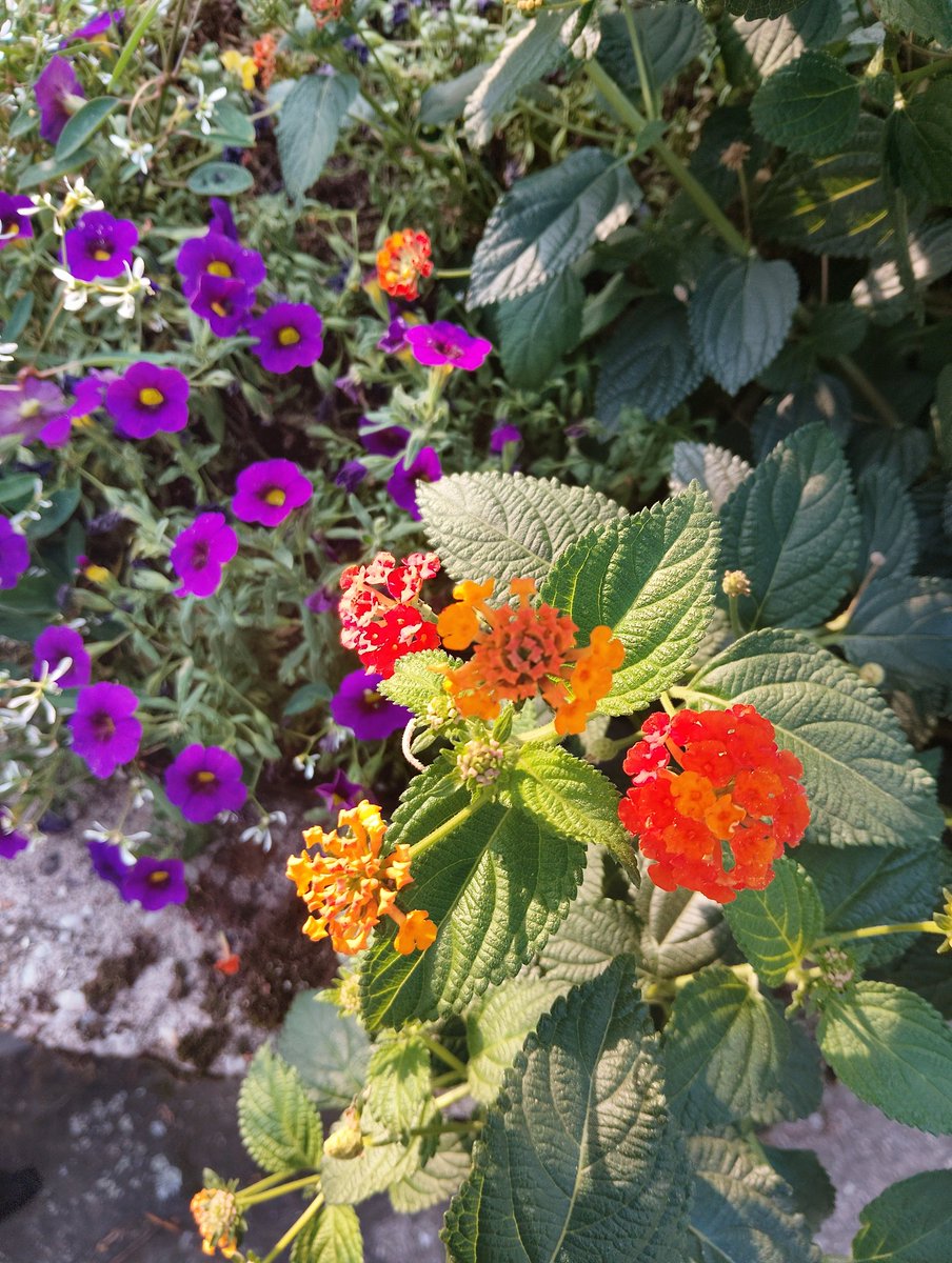 Guten Morgen ☕☕☕